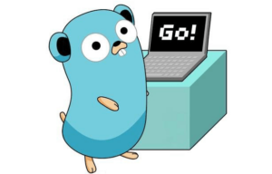 Выпущен Go 1.24!